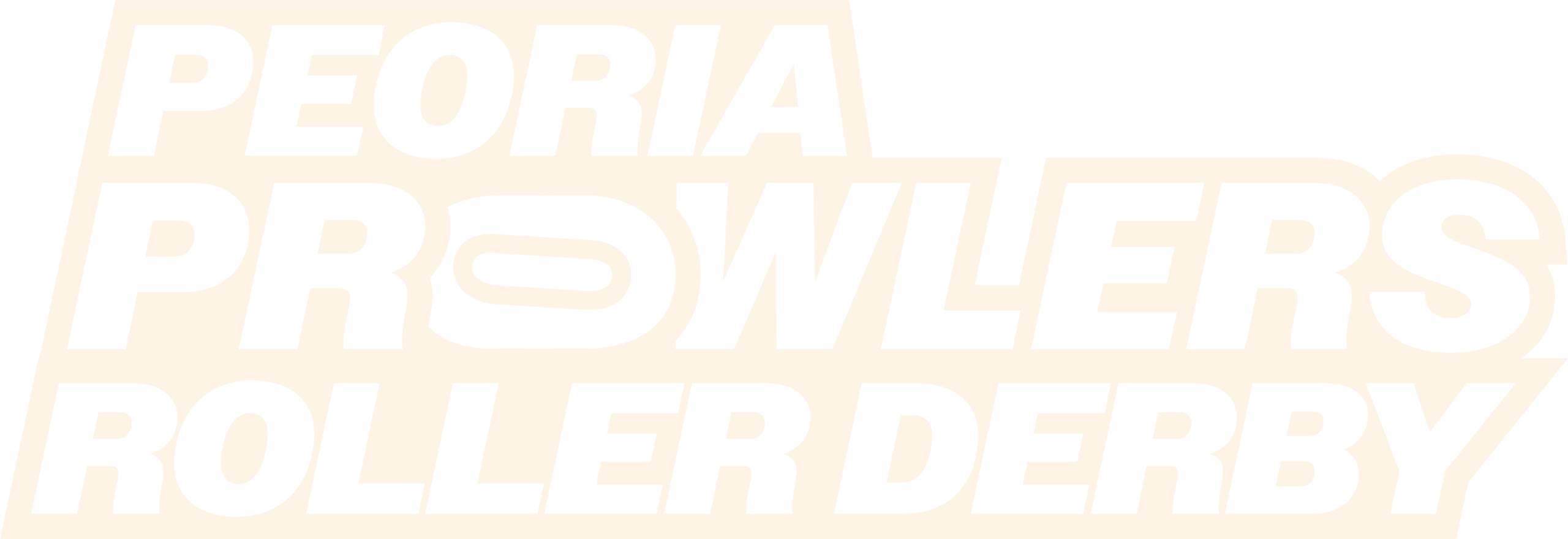 Peoria Prowlers Roller Derby